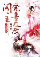 二嫁之倾城公主