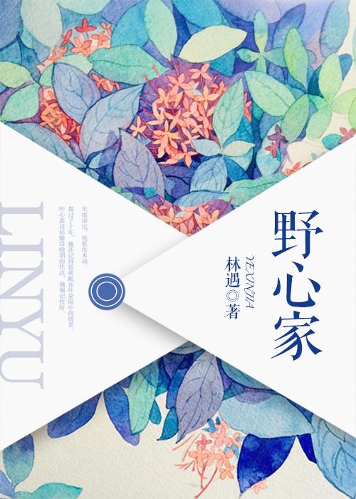 野心家形象
