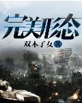 完美状态