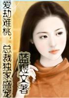 书名爱劫难桃