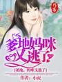 爹地妈咪又逃走了