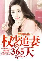 权少的追妻游戏全文阅读免费