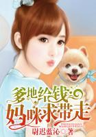 妈咪求带走 聚合中文网