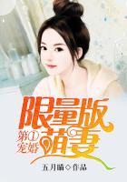 第一宠婚txt