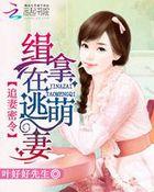 追缉天价小萌妻