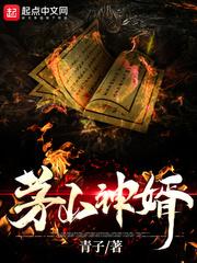 茅山赘婿免费