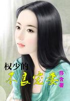 权少宠妻实录