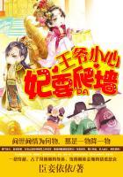 王爷小心宠