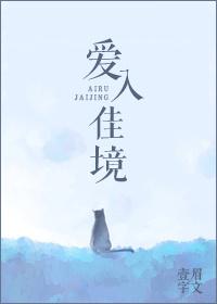 爱入佳境作者几京