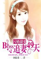 闪婚boss宠妻如命