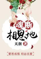 魂断相思地电视剧全集免费观看