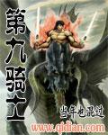 第九骑士黑尔坎普