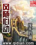 云随风动心随意动