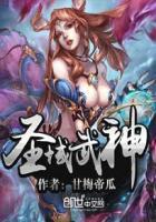 圣域武霸