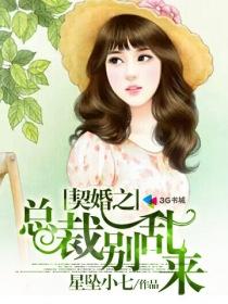 契约婚姻总裁别惹我路安宁