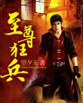 至尊狂兵都市游全文免费