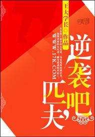 匹夫的逆袭人物关系图