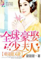 全球豪娶少夫人全文免费阅读