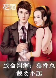 致命纠缠总统大人