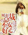 暖婚宝贝总裁不是gai