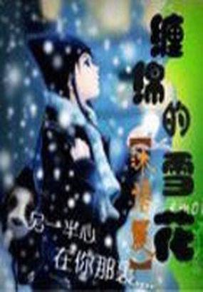 雪花绵绵什么意思