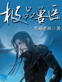 极品兽医陆丰林沐雪