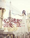 亿万总裁娶妻一送三