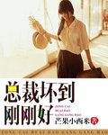 总裁坏到刚刚好全文免费阅读