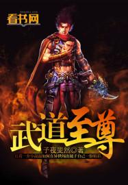 武道至尊作者暗夜幽殇