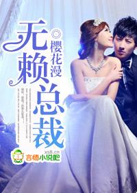 无赖总裁追逃妻