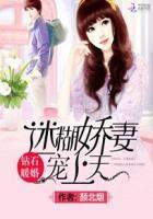 钻石暖妻最温柔
