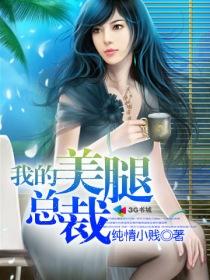 我的美女总裁俏佳人无弹窗