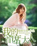 我的首席大人剧情介绍