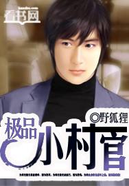 极品村官沈文阅读