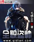 全职高手 盗贼