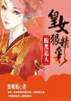 腹黑追妻