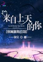 来自天上的祈祷概括