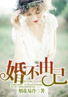 婚不由己非婚不可短剧免费观看完整版