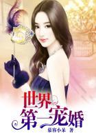 世界第一宠妻免费阅读