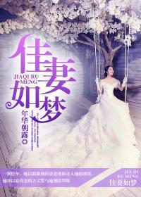 佳妻如梦何广川免费阅读