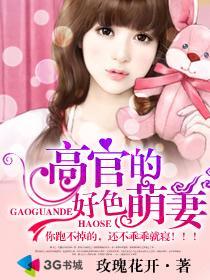 高官无弹窗