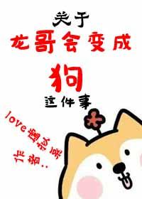 龙哥韩文