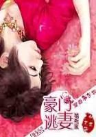 豪门闪婚boss太难缠免费阅读