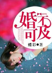 婚不及防免费阅读全文一半浮生