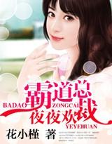 霸道总裁夜夜欢 在线