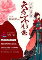 夫君不好惹txt