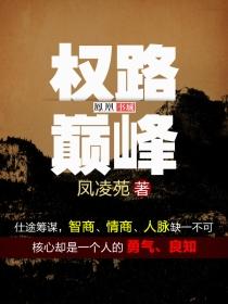 权路巅峰十一动漫