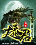 大暴君大夏掌权人
