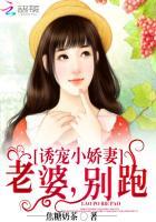 诱宠小萌妻宝贝别跑