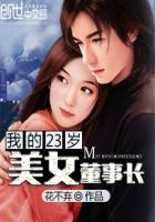 我的23岁女总裁